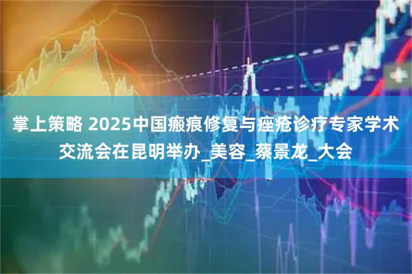 掌上策略 2025中国瘢痕修复与痤疮诊疗专家学术交流会在昆明举办_美容_蔡景龙_大会
