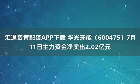 汇通资管配资APP下载 华光环能（600475）7月11日主力资金净卖出2.02亿元